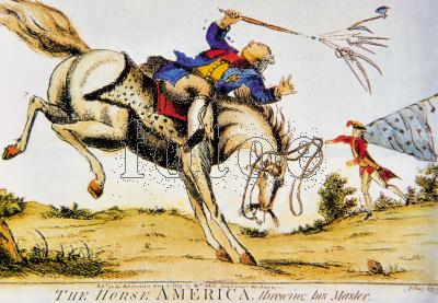 无法驾驭的美洲马